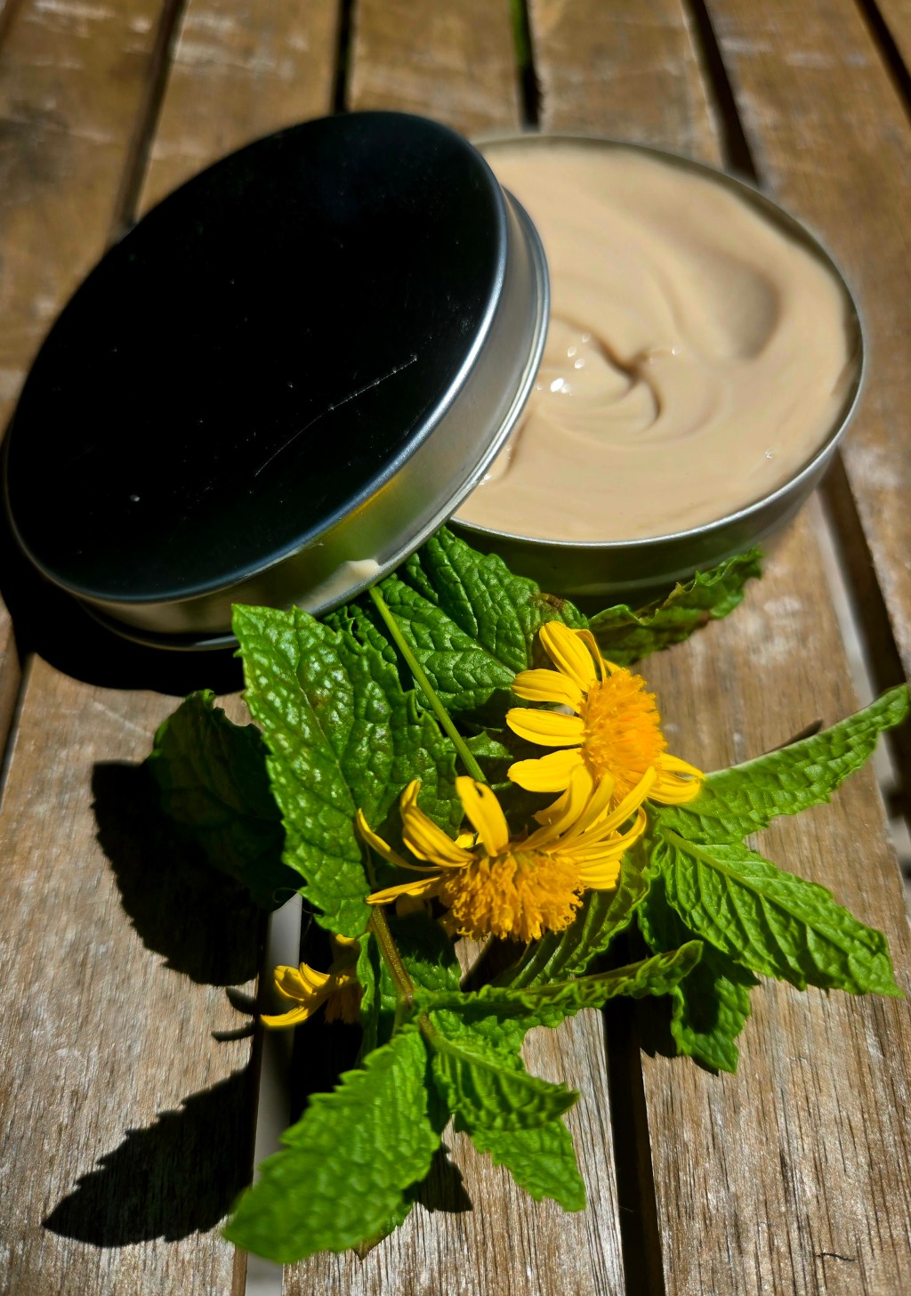 Arnica & Mint Pain Relief&nbsp;Lotion